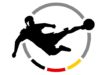 3. Liga 2019