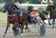 Sunset Boulevard (6) mit Michael Nimczyk gewinnt dden Stutenlauf zum Adbell-Toddington-Rennen 2022